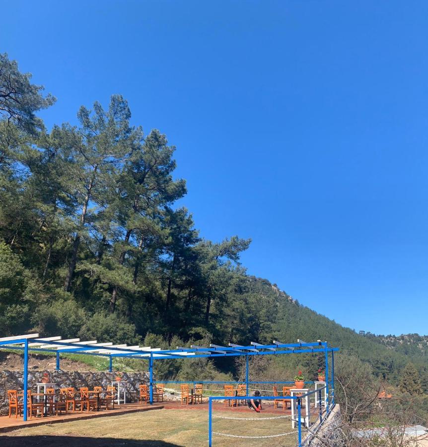 Alp Inn Villas Turunç Zewnętrze zdjęcie