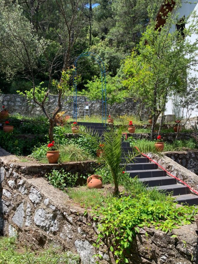 Alp Inn Villas Turunç Zewnętrze zdjęcie