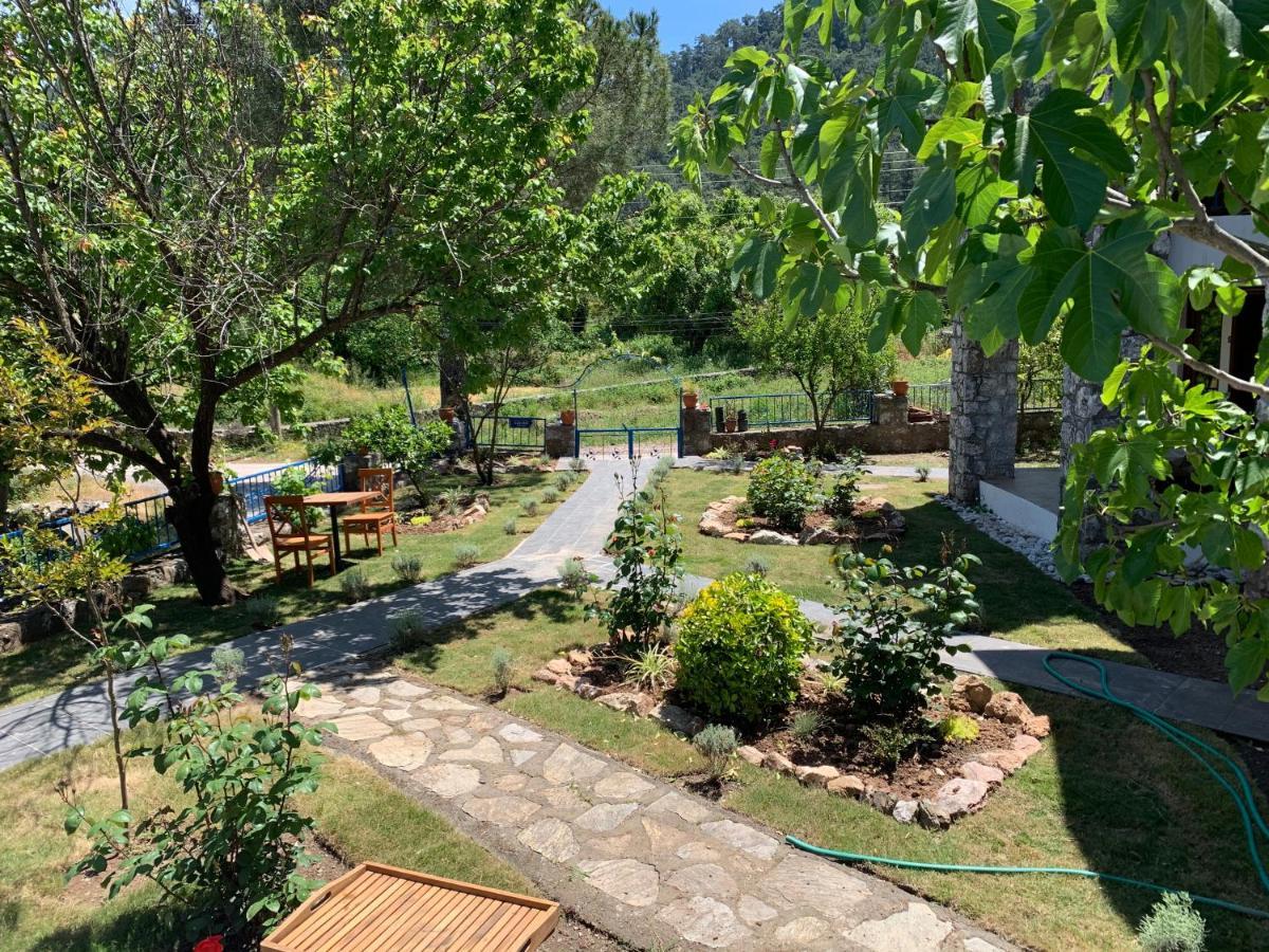 Alp Inn Villas Turunç Zewnętrze zdjęcie