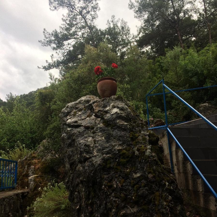 Alp Inn Villas Turunç Zewnętrze zdjęcie